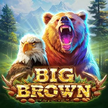 Big Brown Bear thumbnail